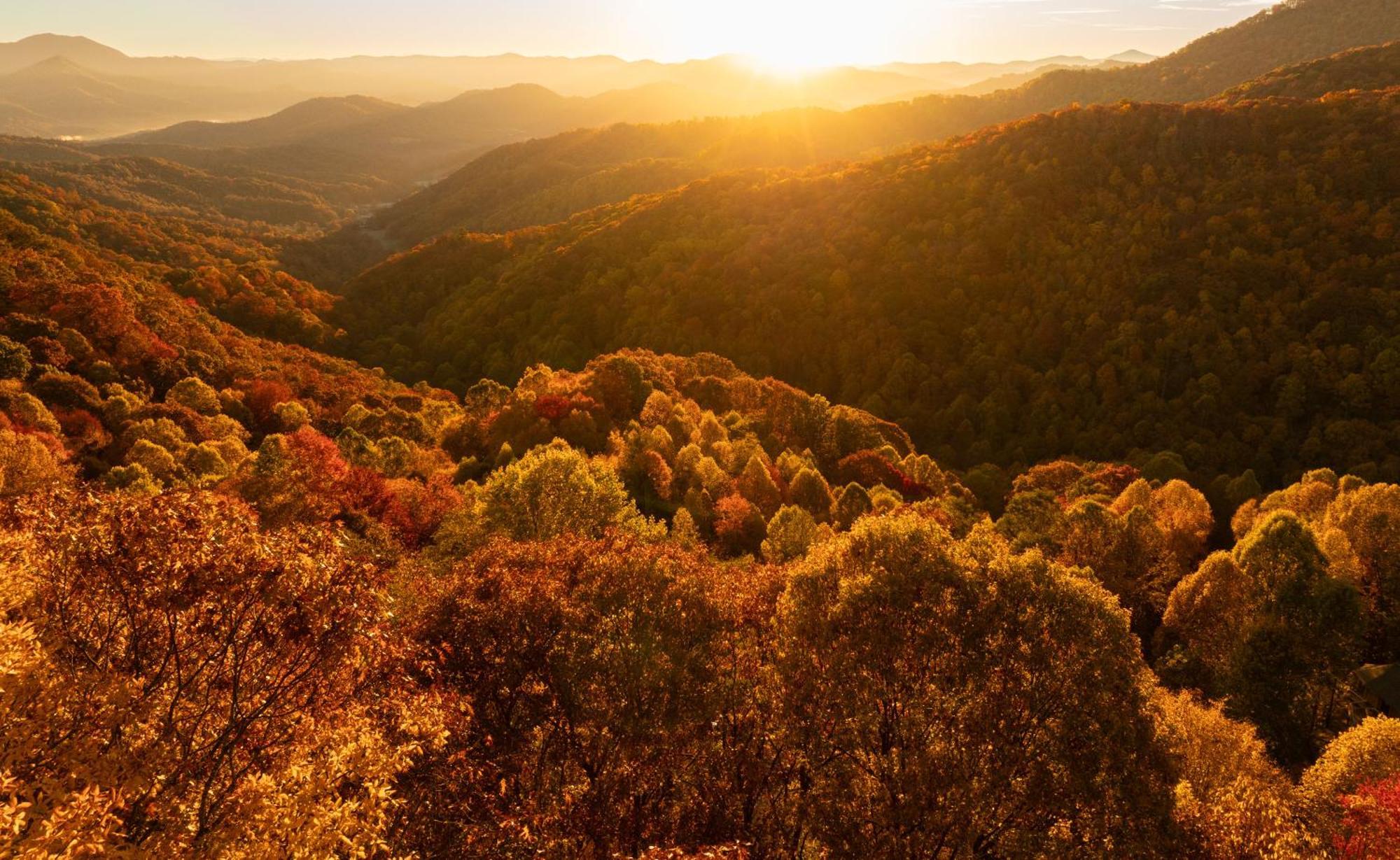 Elk & Embers Mountain Hideaway Hotel Waynesville Exterior foto